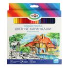 Карандаши 48 цветов Гамма "Классические", заточенные, картонная упаковка - фото 9317725