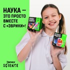 Набор для опытов «Шагающая радуга» - Фото 4