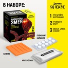 Набор для опытов «Фараонова змея» - Фото 2