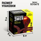 Набор для опытов «Фараонова змея» - Фото 3