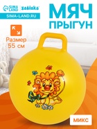 Мяч - прыгун с ручкой, d=55 см, цвет МИКС - Фото 1