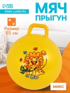 Мяч - прыгун с ручкой ONLYTOP, d=55 см, МИКС - Фото 1