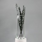 Ваза «Трубка-147», 6.2 л, h=40 см, d=14 см, толщина стекла 2 мм, прозрачная - Фото 2