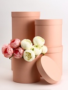 Набор круглых коробок 5 в 1 «Краски», персиковый, 25 × 25 × 25 - 19×19×19 см - Фото 1