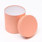 Набор круглых коробок 5 в 1 «Краски», персиковый, 25 × 25 × 25 - 19×19×19 см - Фото 11