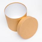 Набор круглых коробок 5 в 1 "Краски", кофе с молоком, 25 х 25 х 25 - 19 х 19 х 19 см 7105830