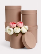 Набор круглых коробок 5 в 1 "Краски", кофе с молоком, 25 х 25 х 25 - 19 х 19 х 19 см 7105830