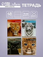 Тетрадь «Дикие кошки», 48 листов, в клетку, МИКС - Фото 1