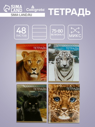 Тетрадь «Дикие кошки», 48 листов, в клетку, МИКС