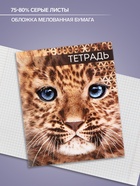 Тетрадь «Дикие кошки», 48 листов, в клетку, МИКС - Фото 2