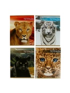 Тетрадь «Дикие кошки», 48 листов, в клетку, МИКС - Фото 3