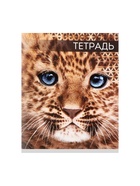 Тетрадь «Дикие кошки», 48 листов, в клетку, МИКС - Фото 5