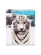 Тетрадь «Дикие кошки», 48 листов, в клетку, МИКС - Фото 6