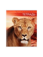 Тетрадь «Дикие кошки», 48 листов, в клетку, МИКС - Фото 8