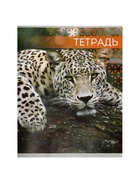 Тетрадь «Дикие кошки», 48 листов, в клетку, МИКС - Фото 9