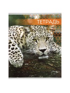 Тетрадь «Дикие кошки», 48 листов, в клетку, МИКС - Фото 10