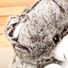 Мягкая игрушка «Мишутка с сердцем», 25 см, цвета МИКС - фото 3729374