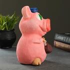 Копилка "Хрюшка в шляпке"  17х14х23см - фото 21311903