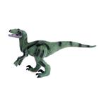 Фигурка динозавра «Раптор», длина 26 см - фото 10086412