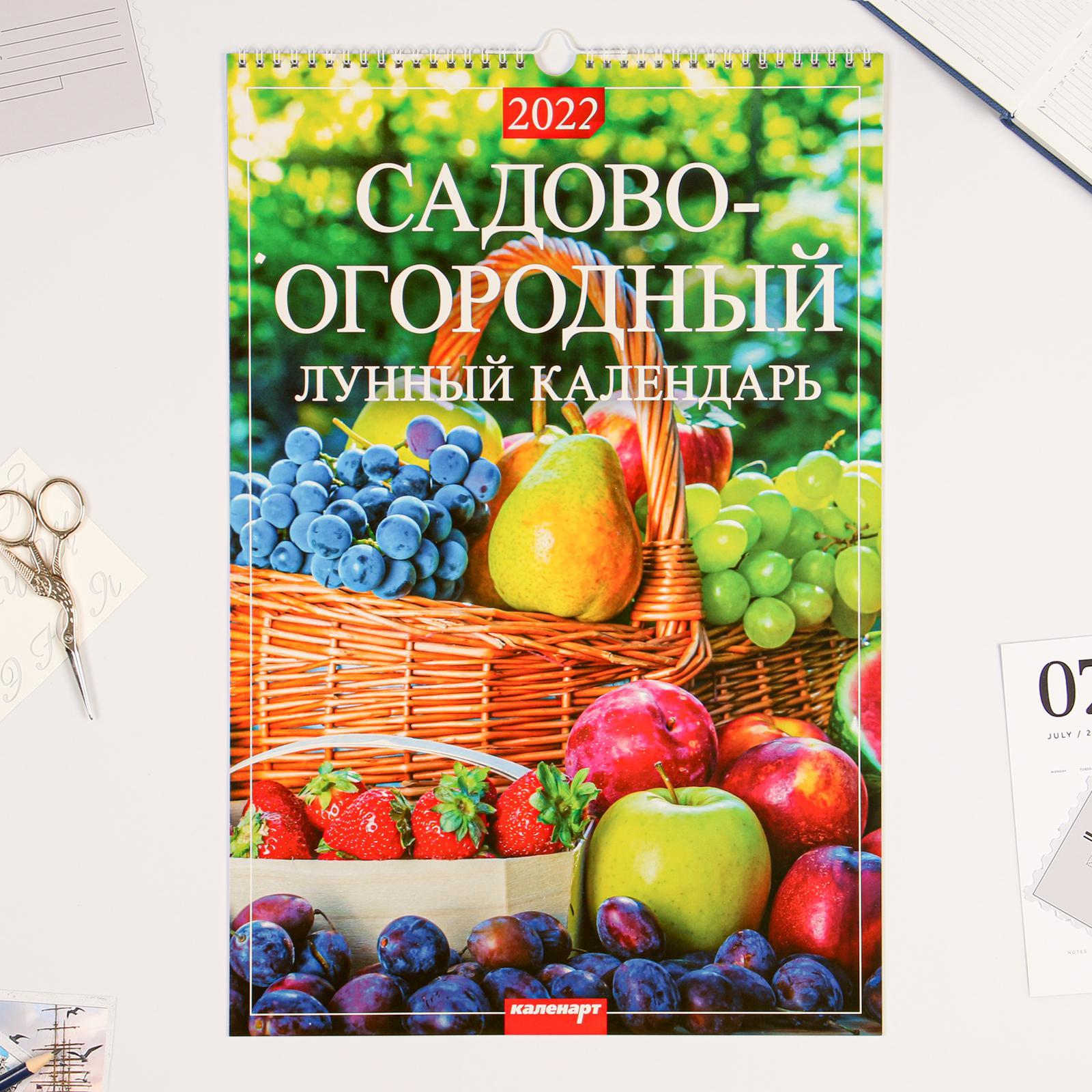 Дачный лунный календарь на январь Дачный лунный календарь на январь