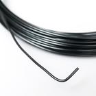 Проволока для рукоделия "Астра" 1 мм, 10 м, чёрный - фото 21312505