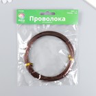 Проволока для рукоделия "Астра" 1 мм, 10 м, тёмно-коричневый 7118992 - фото 13754533