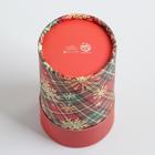 Коробка подарочная «Клетка», 8 х 14,5 см, Новый год 6846300