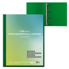 Папка на 4 кольцах А4, Calligrata "Панорама", 40 мм, 700 мкм, лицевой карман, зелёная, МИКС - фото 8945597