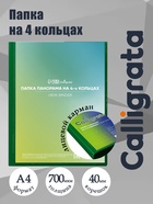 Папка на 4 кольцах А4, Calligrata «Панорама», 40 мм, 700 мкм, лицевой карман, зелёная, МИКС - Фото 1