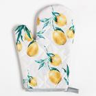 Кухонный набор Доляна Lemon, прихватка 17*17 см, рукавица 26*16 см, фартук 70*80 см 100% п/э - фото 37191533