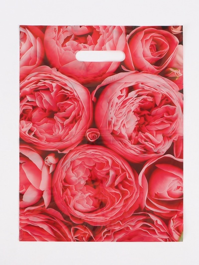 Пакет полиэтиленовый с вырубной ручкой «Пионы», розовые, 30×40 см, 50 мкм