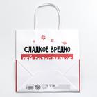 Пакет подарочный новогодний «Сладкое вредно», 22 х 22 х 11 см, Новый год 6249078 - фото 12511079