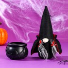 Ведьма «Гномик Арни» в котле  (артикул 6851484)  большой выбор товаров оптом и в розницу по низким ценам с доставкой