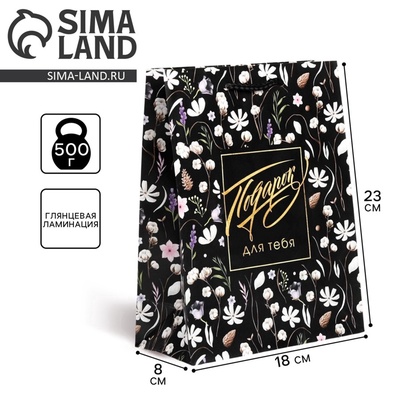 Пакет подарочный ламинированный, упаковка, Gift for you, MS 18×23×8 см