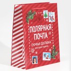 Пакет ламинированный вертикальный «Полярная почта», MS 18 × 23 × 8 см - Фото 2