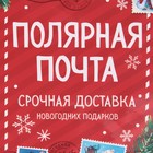 Пакет подарочный новогодний ламинированный «Полярная почта», L 28 х 38 х 9 см 6765815 - фото 1674096