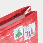 Пакет ламинированный вертикальный «Полярная почта», L 28 × 38 × 9 см - Фото 5