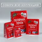 Пакет подарочный новогодний ламинированный «Полярная почта», L 28 х 38 х 9 см 6765815 - фото 1674099