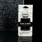 Ароматизатор Sapfire картонный подвесной Black&White, парфюмерная композиция №5 SAT-4000 - Фото 3