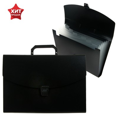 Папка-портфель А4 Calligrata, 6 отделений, 700 мкм, до 300 листов, чёрная