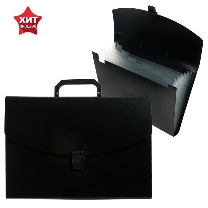 Папка-портфель А4 Calligrata, 6 отделений, 700 мкм, до 300 листов, чёрная - Фото 1