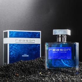 Туалетная вода мужская Reason pour homme, 100 мл 7144101