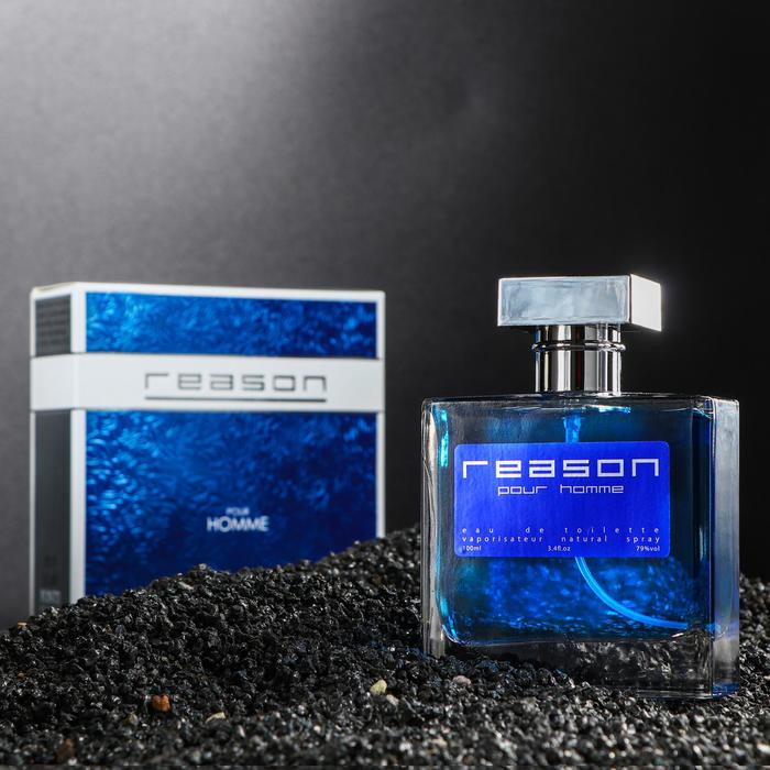 Туалетная вода мужская Reason pour homme, 100 мл - Фото 1