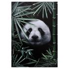 Картина на холсте "Панда в листьях" 50х70 см - фото 318652434