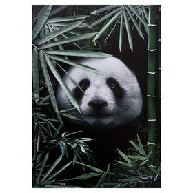 Картина на холсте "Панда в листьях" 50х70 см