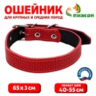 Ошейник кожаный с тиснением на синтепоне, 65×3 см, ОШ 40-55 см, красный - Фото 1