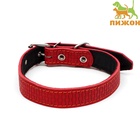 Ошейник кожаный с тиснением на синтепоне, 65×3 см, ОШ 40-55 см, красный - Фото 2