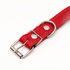 Ошейник кожаный с тиснением на синтепоне, 65×3 см, ОШ 40-55 см, красный - Фото 5