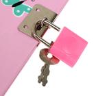 Записная книжка подарочная формат А6+, 45 листов, на замке, на гребне, линия, "Дино", МИКС - фото 22893075