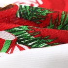 Набор кухонных полотенец Доляна «Зимние радости» 35×60 см-2 шт., 100% хлопок - Фото 7